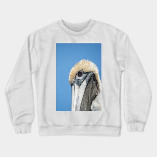Portrait of Brown pelican 2 Crewneck Sweatshirt